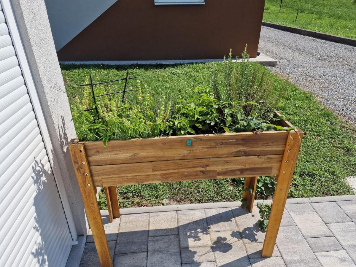 Villa Kuca Za Odmor Grasevina